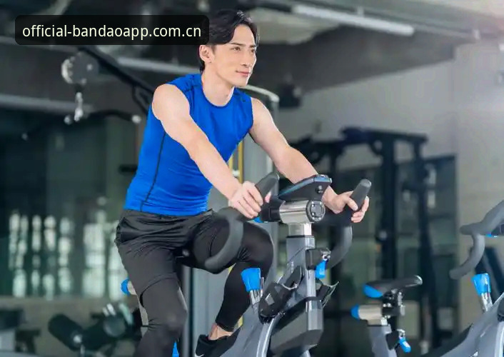 BDTY体育软件 资深体育迷分享BDTY体育软件使用心得:从数据对比到多设备管理的实战经验